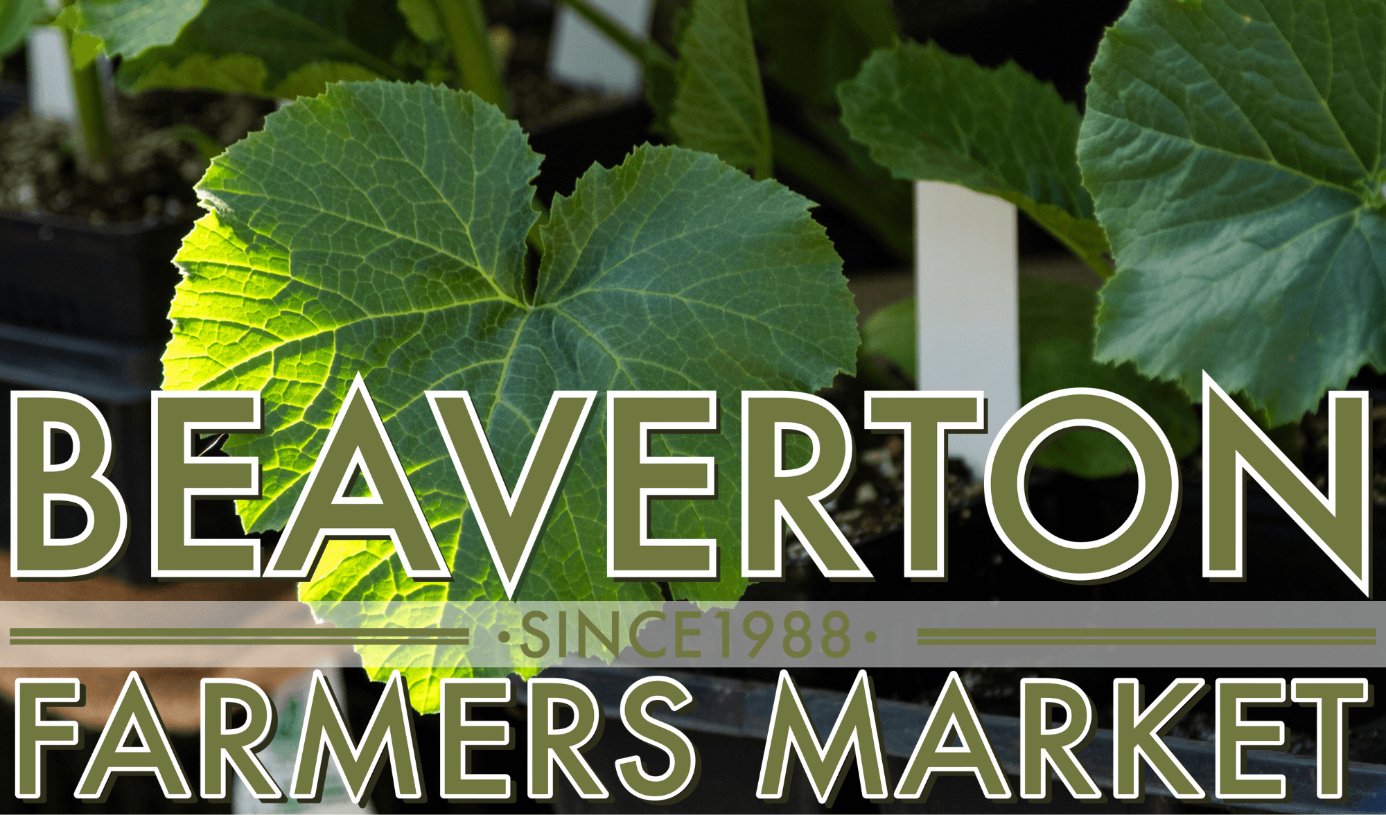 Beaverton Farmers Market